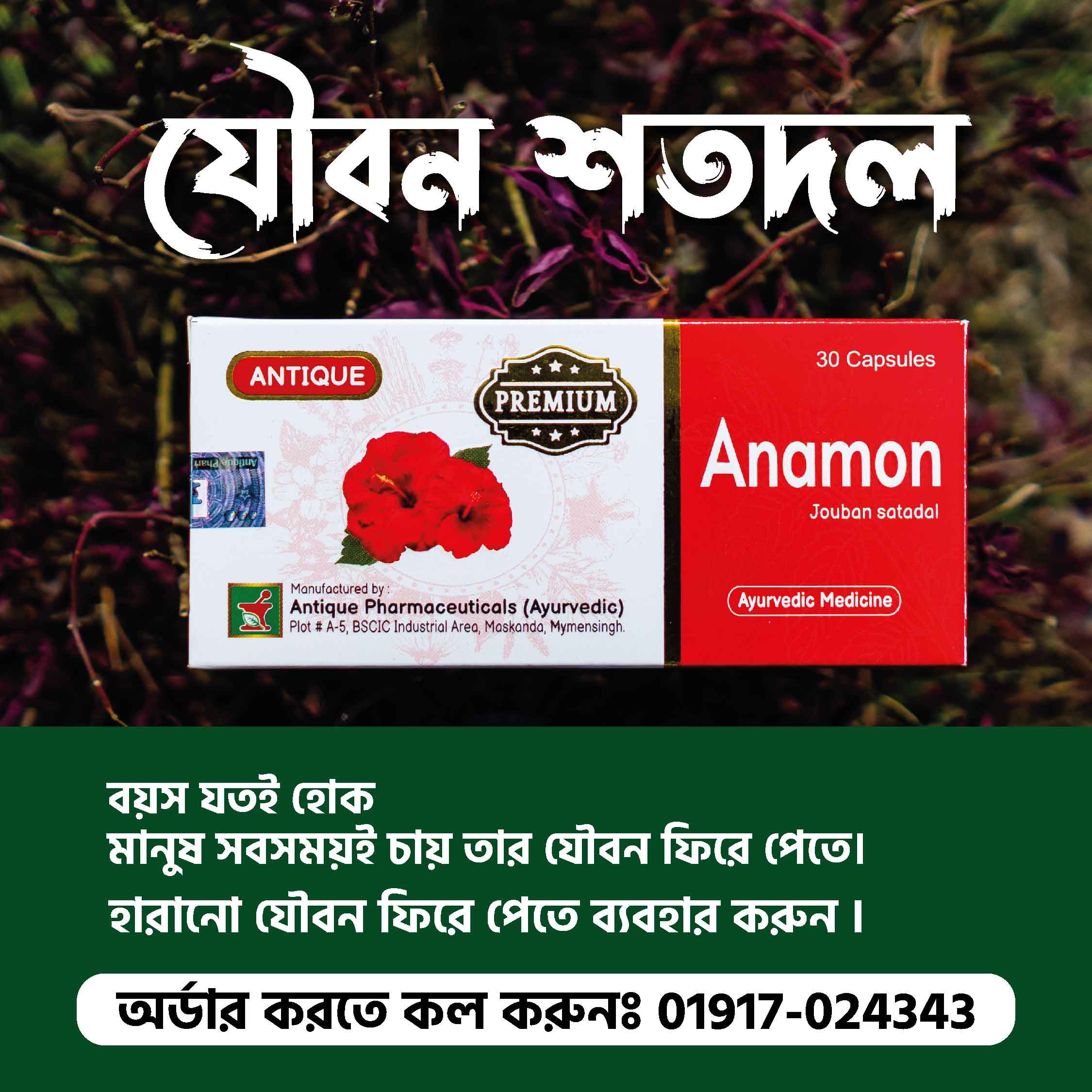 anamon-premium-2